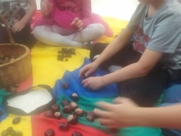 461712303995498229044792555791541479997253n